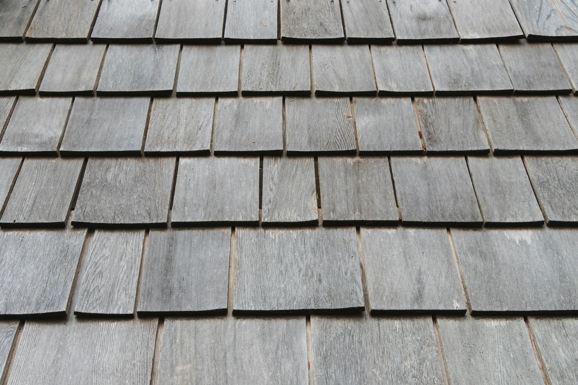 Roof maintenance tips to avoid expensive repairs